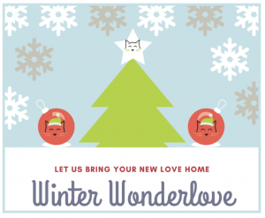 flier for winter wonderlove