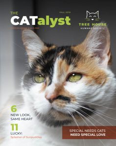 The CATalyst Magazine cover 