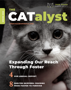 Catalyst spring 2020 cover