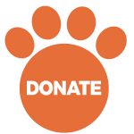 donate button kitten season