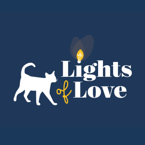 Lights of Love 2021