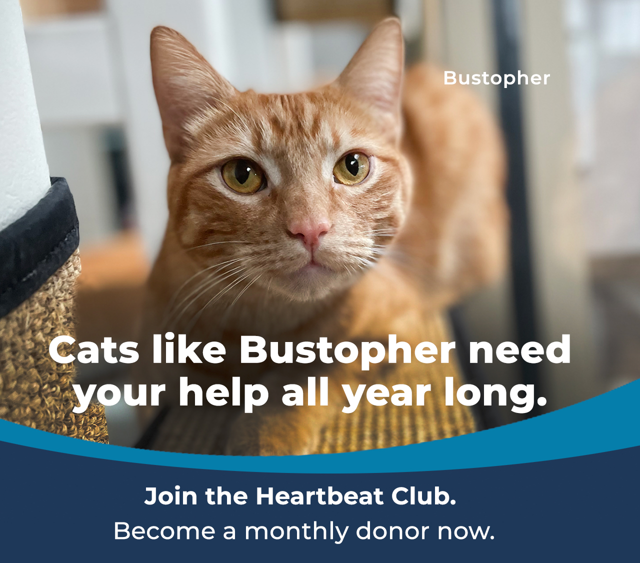 Join the Heartbeat Club. Become a monthly donor now.