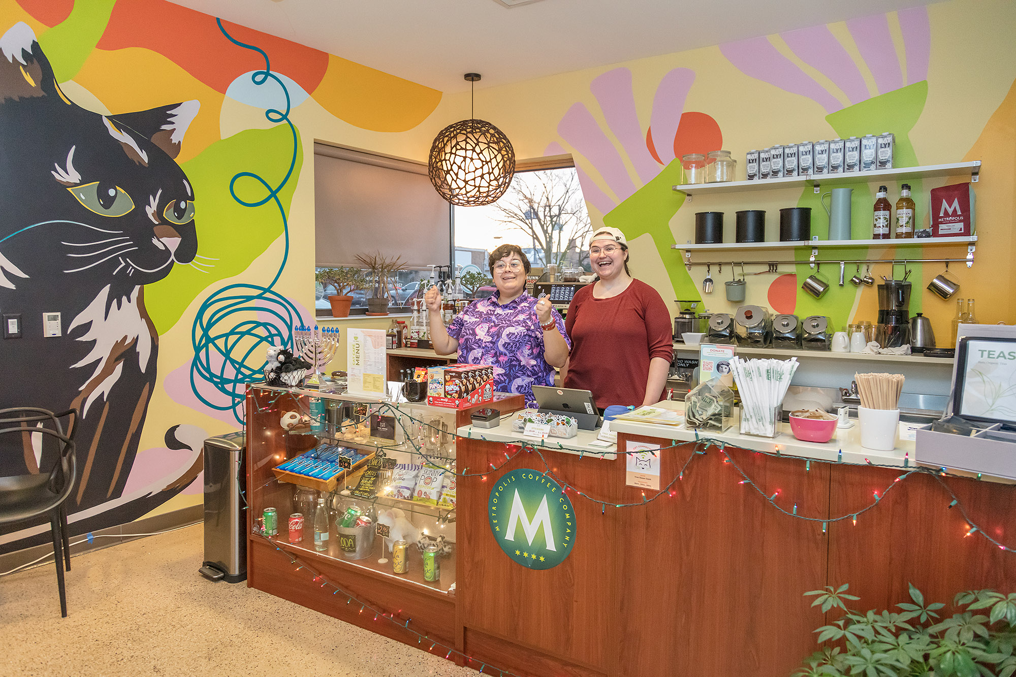 Tree House Humane Society Cat Cafe