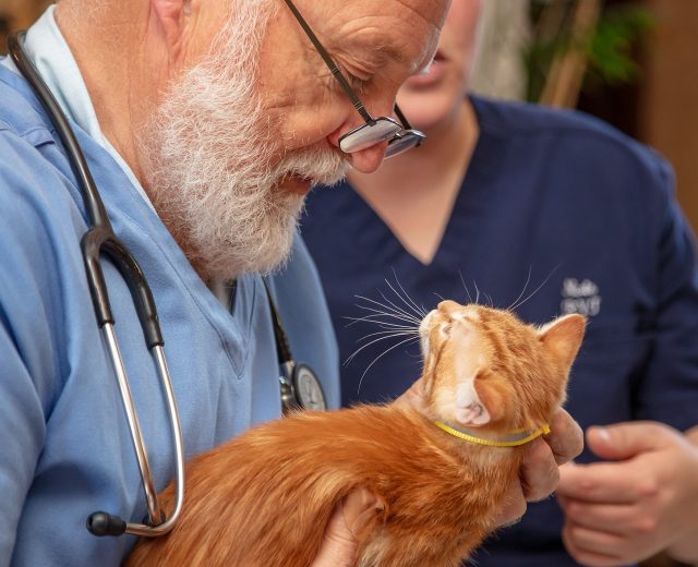 Pop Up Vaccine at St. Paul’s Church by-the-Lake