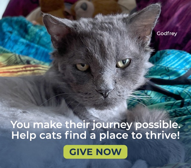 Donate Lightbox