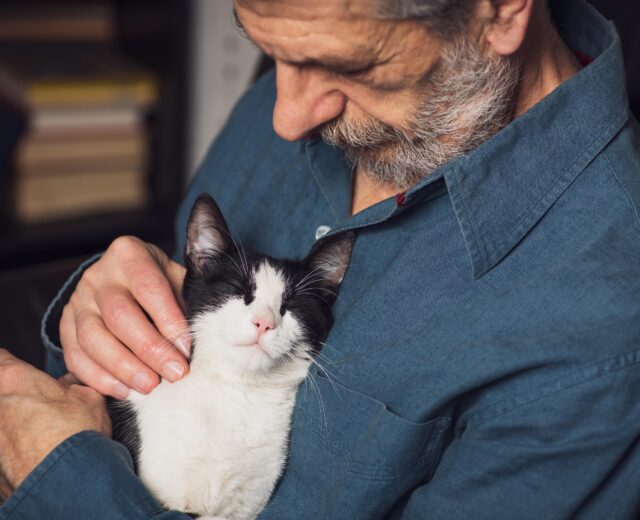 Senior man petting his cat on a sofa