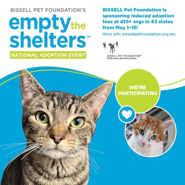 🎉✨ It's that time of year! 🐾 Tree House is thrilled to participate in the national Empty the Shelters adoption event May 1-15!⁠
⁠
We're joining forces with the BISSELL Pet Foundation to find loving homes for as many pets as possible. To make this dream a reality, we're offering select adult cats for adoption at a special rate of just $50—down from the regular $115 adoption fee.⁠
⁠
But remember, when you choose to adopt from Tree House, you're not just saving one life, but TWO: The lucky cat you bring into your home and the next cat in line waiting to take their place in the shelter.⁠
⁠
Adoption not only fills your home with joy and love; it supports our mission to ensure every cat has the chance to thrive. Plus, thanks to the support from BISSELL Pet Foundation, adoption fees are more accessible than ever, making now the perfect time to welcome a new member into your family.⁠
⁠
Be part of this life-changing event! 🏡💖 Your new best friend is waiting. Check back at https://treehouseanimals.org/adopt/adoptable-animals/ to see which cats will participate in Empty the Shelters and make a new friend this May.⁠
⁠
@BISSELLpets @Cathy_Bissell