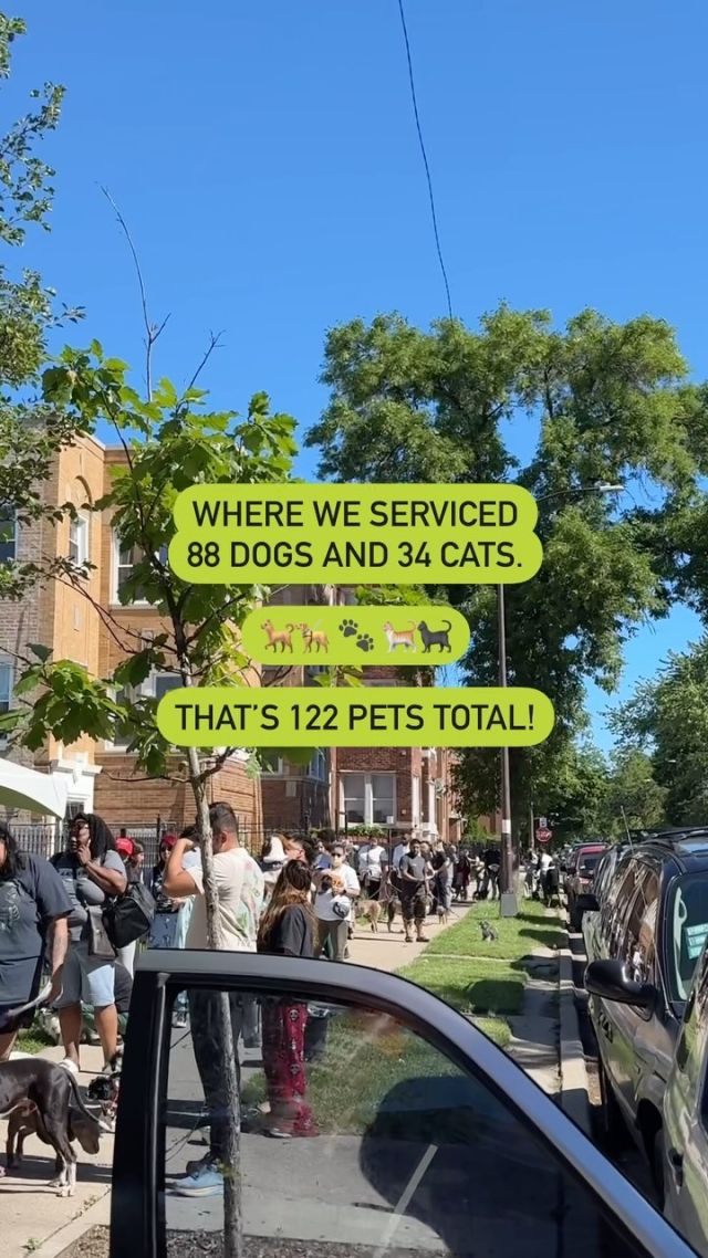 Last Saturday, we hosted a community vaccine pop-up at Kelly Hall YMCA in Humboldt Park! 💉 Animal welfare and social service providers came together to bring resources for both pets and their humans alike! To support pets in our community, we help ensure that their caretakers also have the resources they need. This helps to keep more pets in loving homes. 🏠

We’re thrilled to report that at this pop-up, 122 pets received lifesaving preventative vaccinations and microchips! This includes a combination of 88 dogs and 34 cats. Although you won’t find any dogs at our shelter, we still serve our canine friends in the community through our vaccine pop-ups and our Veterinary Wellness Center. 🐕 🐈 And for those pups and kits, this event provided a total of 500 pounds of pet food!

Thanks to @petcolove and Cook County for donating these vital vaccines so that our community health includes the pets we all love! 

Missed this pop-up? Don’t worry—there will be more. Read more about our community vet care here: https://treehouseanimals.org/vwc/community/

#humboldt #humboldtpark #chicago #vaccine #pet #dog #cat @ymcachicago @assochouse @petcolove