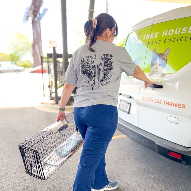 🔔 MERCH DROP! 🔔New Tree House merchandise and more is now available for sale on our online store! Check out our NEW website to see what we have in store (no pun intended.) You can show your support for animal welfare in Chicagoland when you buy Tree House apparel, tote bags, tumblers, magnets, pins, and more. 👕🧷🧢🥤⁠
⁠
When you order swag for yourself, don’t forget to get something for the feline friends in your life! Our online store also sells toys, beds, food bowls, and enrichment tools for cats. 🐈️⁠
⁠
Every purchase you make is a step towards making a difference in the lives of sick, injured, and stray felines! 💁⁠
⁠
Browse our merch, and order today! https://store.treehouseanimals.org/
