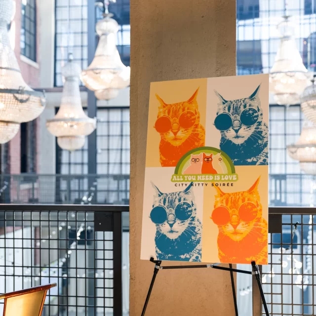 All #TreeHouseCats need is love, and we’re thrilled to share that love was abundant last weekend at our City Kitty Soiree! 🎶⁠
⁠
We kicked off the event with a delectable brunch spread, live music, and our surprise for guests—a kitten play space. Fox 32 News' station cat lady, Natalie Bomke, got the ball rolling for our program, during which we shared the heartwarming story of Brooke and her adopted Tree House cat, Scamper. Thanks to the generous contributions of our community, we raised nearly $60,000 at City Kitty Soiree! And that’s all going to help cats thrive here at Tree House. 🐱💞⁠
⁠
💚🧡 We thank our groovy sponsors, The Bridal Beauty Team, My Neighborhood Vet, and the Smith Family for making this event possible. Special thanks to Brooke for letting us into her home and heart, reminding us all of the special bond we share with our feline companions.⁠
⁠
👉️You can watch Brooke’s story on our YouTube at https://youtu.be/lQXCUF8WF0Y?si=fAjy4PR83HQKvCKe