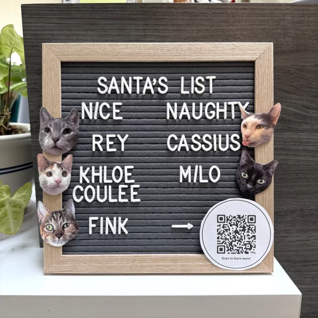 It’s Christmas Eve, and we’re wondering which #TreeHouseCats in foster homes would be on Santa’s #NiceList, and which ones would be on his #NaughtyList? 📋️⁠
⁠
This year, we’re nominating these foster kitties (all available for adoption) for the Nice List:⁠
👯‍♀️ Rey & Khloe Coulee — just for being an adorable bonded pair who have worked hard to get Rey to come out of her shell.⁠
🛋️ Fink — for being the best sofa snuggle buddy!⁠
⁠
And these are our picks for the Naughty List:⁠
🤡 Cassius — for causing such a ruckus in our office, that we had to send him to foster to make a mess over there. (Just kidding!)⁠
😴 Milo — for stealing his foster pawrent’s silk-covered pillow and claiming it as his own.⁠
⁠
➡️ All five kitties are available for adoption, straight from their foster home. If you’d like to learn more about them, email our team at adoption@treehouseanimals.org