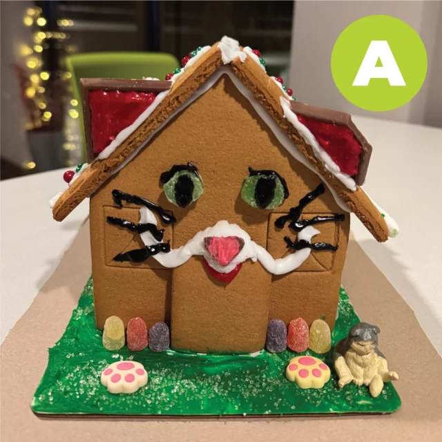 #TeamTreeHouse is competing for the best gingerbread house. 🏁 Vote for your favorite design in the comments. Winner will be announced in stories on Friday, December 27! 🍪🏠️