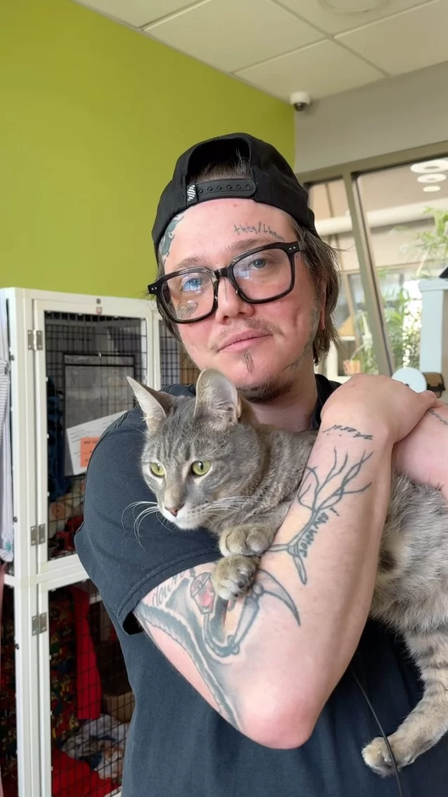 We asked #TeamTreeHouse how many cats they have… 

#TreeHouseCats #Cats #Shelter #AnimalWelfare #CatLover #InstaCat #Adopt #Chicago #CatCafe #Cat