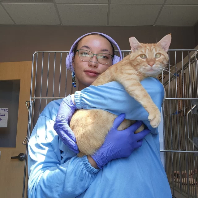 ✨ Honoring Women in Animal Welfare ✨ this International Women’s Day—and every day! 💪🐾⁠
⁠
Women have long been at the heart of animal welfare, leading with compassion, resilience, and determination. At our shelter, we’re proud to have a diverse team of women, men, and gender non-conforming individuals working together to create a better world for animals. Today, we’re shining a light on the incredible women—staff, volunteers, board members, and donors—who bring strength and dedication to this mission. 🌍💚⁠
⁠
We believe in the power of inclusive leadership and a workplace where everyone, regardless of gender, can thrive in their commitment to animal welfare. Swipe through to see the faces behind our work and the animals who benefit from their dedication!⁠
⁠
👉️ Want to be part of a team that values empathy, inclusivity, and action? We’re hiring! Join us in making a difference: https://treehouseanimals.org/job-openings