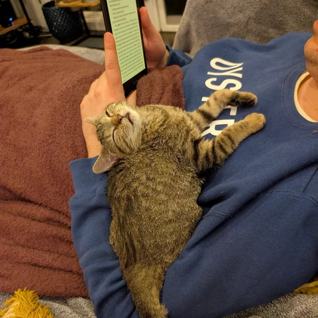 A cozy, cuddly, and soup-er sweet adoption story—Miso’s Happy Ending Tail is comfort food for the soul! 🍲🐾⁠
⁠
Miso’s journey started in a warm and welcoming foster home, but it didn’t take long to see that this kitty had something truly special. Her stay may have been temporary on paper, but Miso knew she had found her people. 👨‍👩‍👧‍👦⁠
⁠
Channeling a perfect mix of spunk and heart, Miso turns every day into a playful performance for her humans and furry siblings. 🎭 One moment she’s running around like a four-legged firework, and the next she’s melting into a warm lap. 🎆💤⁠
⁠
When her adoption became official, Miso didn’t just get a home—she gained a family. 🥰 That included Taco, the older resident cat, who wasn’t so sure about this new tabby tornado. 🌮 But Miso quickly won him over, and now, they’re the snuggliest of sidekicks.⁠
⁠
Nowadays, Miso runs the house with a tail in constant motion, always ready to jump into a lap during WFH Zoom calls, making the day fly by. 💻⁠
⁠
We love knowing how much joy, laughter, and a little mischief Miso has brought to her home. Because with a cat like her, every day is (mi)so much better! 😸💛