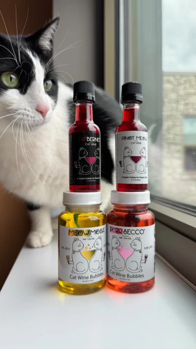 It’s National Wine Day—cheers to that! 🍷

So go ahead, pour yourself a glass and get cozy with your cat. But don’t leave your feline friend hanging… they want in on the fun too! 🤝

Good news: we’ve got “cat wine” in our Tree House retail store (zero alcohol, plenty of catnip). It’s the purr-fect way for both of you to unwind, together! 😌

🛒 Swing by the shop on the first floor of our shelter or grab a bottle online: https://store.treehouseanimals.org/

#TreeHouseCats #Wine #Cats #Chicago