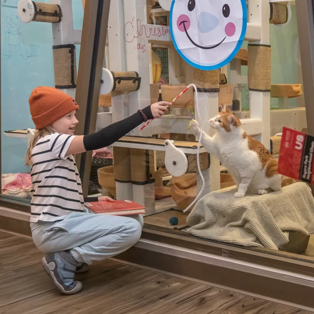 ✨ Love shines brightest at Tree House. ✨⁠
⁠
Our annual Lights of Love open house is back — a joyful evening to celebrate the cats (and people!) who fill our hearts. 💛🎄⁠
⁠
🗓️ Saturday, Dec. 6, 4:00–6:30 p.m.⁠
📍 7225 N. Western Ave, Chicago⁠
⁠
Get ready to enjoy:⁠
🐾 Festive family fun & hands-on holiday crafts⁠
☕ Complimentary bites & beverages⁠
🎶 A special a cappella carol performance⁠
🐱 Cozy time in our cat-centric, eco-friendly space⁠
⁠
Feeling lucky? 🎟️⁠
Enter our raffle to win a Litter-Robot 4 by Whisker — the ultimate cat parent upgrade!⁠
⁠
Join us to honor the hearts we’ve loved, the cats we cherish, and the traditions that bring us together. ✨⁠
⁠
Unable to join us? You can still donate to #TreeHouseCats and make a tribute to a loved one.⁠
⁠
💚 Thanks to our generous Presenting Sponsor, Bond Vet, Community Sponsor, My Neighborhood Vet, and a special $5,000 match from Colleen & Henry Slingerland, your gift this season will go even further to help cats in need.⁠
⁠
👉️ Admission is free—RSVP to our annual event now: donate.treehouseanimals.org/love