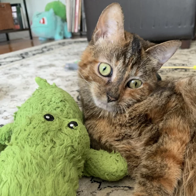 ✨ ANNOUNCING OUR TRIAL ADOPTION PROGRAM ✨⁠
⁠
Sometimes, you meet a cat and **just know**—but still wonder if your routines will truly match up. That’s why we’re introducing Trial Adoption at Tree House!⁠
⁠
Select #TreeHouseCats can now spend seven days in your home so you can see how life together really feels. If it’s a match made in meow-heaven, we can make it official from the comfort of your home! 💕⁠
⁠
🐾 Eligible cats:⁠
Fink • Honeysauce • Angelique • Moonshine • Harlow • Sandy • Red Velvet Kreme & Chocolate Kreme • Origami • Tatsu & Miyamoto • Vivace • Honeypie⁠
⁠
Interested in learning more about one of these cats?⁠
📧 Email us at adoption@treehouseanimals.org