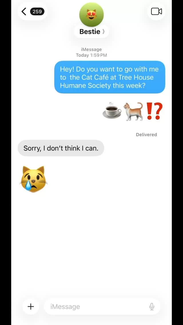 Oh, no worries… It’s not like we had our cat print socks on or anything…

#TreeHouseCats #Chicago #CatCafe #Cats #Cafe #Coffee #Matcha