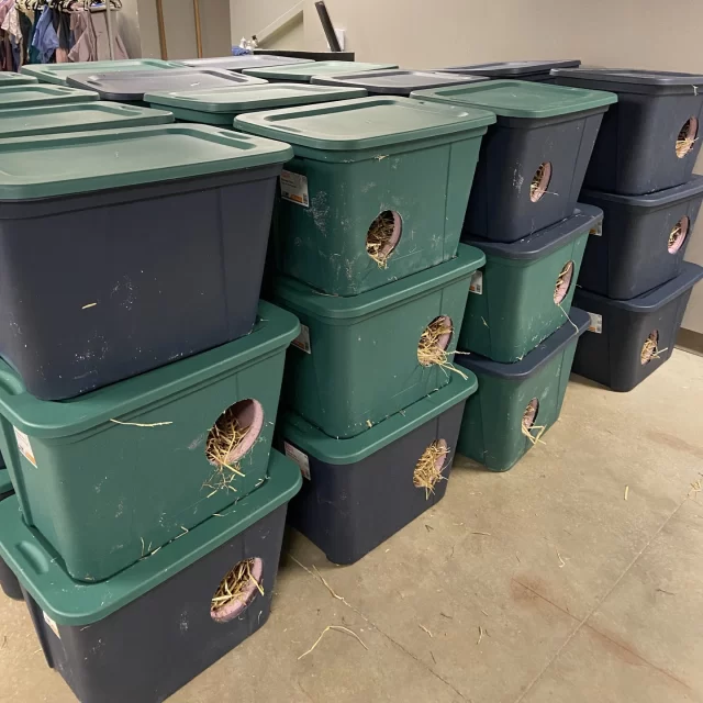 🌨️ Chicago’s coldest winter in years is on the way…⁠
⁠
While you're stocking up on boots, gloves, and deicer—add one more winter staple to your list: a warm shelter for the cats seeking safety from the elements.⁠
⁠
💛 Thanks to our amazing volunteers, these insulated cat shelters are ready to go—at cost—just $25. No DIY. No fuss. Just place it in your yard, alley, or porch—and you’ve just given a cat a safe, dry, windproof shelter.⁠
⁠
Want to take it from shelter to sanctuary? Add:⁠
✨ Straw (not hay!) to keep it dry and cozy⁠
✨ Heated water bowl⁠
✨ Heating pad for extra warmth⁠
✨ Kibble—outdoor cats burn more calories to stay warm⁠
⁠
🛍️ Pick yours up at the Tree House store:⁠
📍7225 N. Western Ave., Chicago⁠
🕙 Open Wed–Sun, 10 A.M.–6 P.M.⁠
⁠
Community cat support this winter might just fit in your trunk. 💙🐾