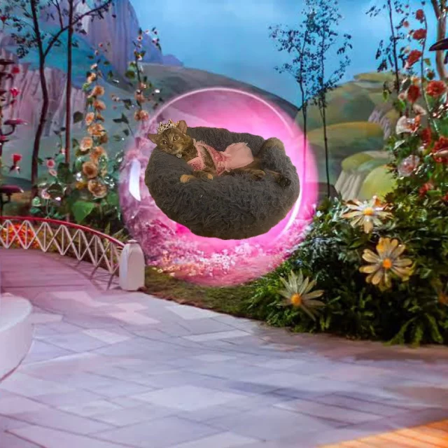 ✨ PHOTOSHOP CHALLENGE: Fink as Glinda the Good! ✨⁠
⁠
We need your help finding Fink a home using your good witchy creations as purrfect marketing material! 📈⁠
⁠
Fink is a music lover and is ready to hit Glinda’s high notes (or at least meow along). Her foster pawrent sent us this hilarious photo, giving us this fun idea. Perhaps your Photoshop job—whether pro-level or hilariously amateur—will inspire Fink’s future adopter! 🐾⁠
⁠
We’ve attached some glam shots of this adoptable superstar—now it’s your turn to help her see herself in the role.⁠
⁠
🔗 Not a Photoshop pro, but interested in adopting Fink?⁠
Visit bit/ly/THHSAdopt (link in bio)