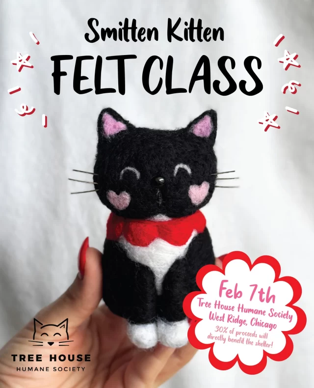 Recognize this felty friend?! 🐱✨ It’s Honeysauce!⁠
⁠
FeltiFriends Studio is bringing their Smitten Kitten Felt Along Class to our shelter on Saturday, February 7, at 1 pm. Instructor Sam will guide you step by step as you needle felt* your very own kitty—no experience needed!⁠
⁠
Best part? 💚 You’ll take home a handmade felted friend AND 30% of class proceeds support #TreeHouseCats like Honeysauce—a snuggly tuxedo boy who’s been waiting over a year for his adopter. Your seat helps long-stay cats get the medical and behavior support they need for another chance at a home.⁠
⁠
Seats are limited—save your spot meow 👉 bit.ly/THHS-SmittenKitten⁠
⁠
*Needle felting = turning fluffy wool into adorable 3D shapes with a barbed needle. All materials included—just bring yourself!