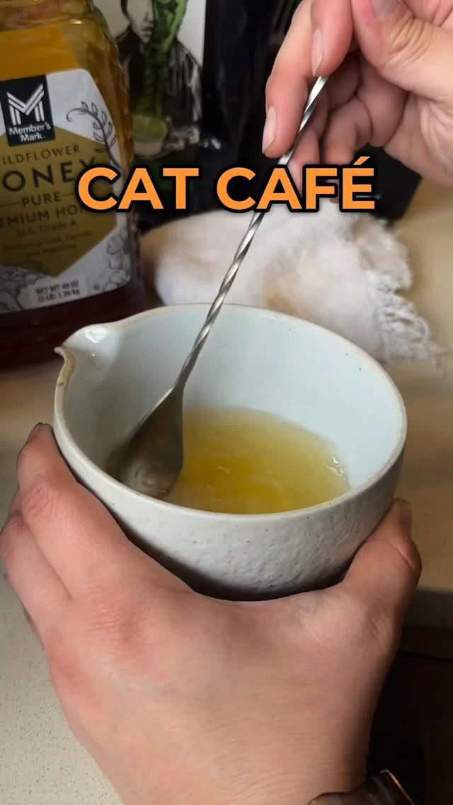 What are you sipping on? We hope it’s the drink special—or one of the many tasty beverages on our menu!

Our Cat Cafe is open from 10 a.m. to 6 p.m., Wednesdays through Sundays, for drinks-to-go! Think of us as your favorite local coffee joint.

#TreeHouseCats #Coffee #Cafe #Chicago #CatCafe Matcha