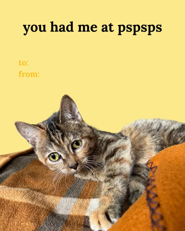Forgot to make your bae a Valentine’s card? We got you. 💌