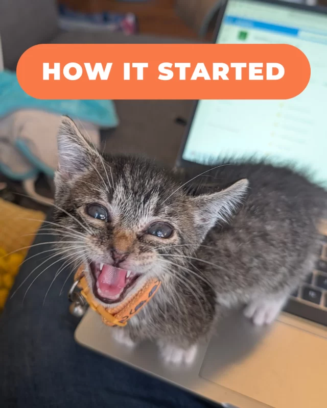 Life is screamingly good for Buckcherry. 😱 'Nuff said.