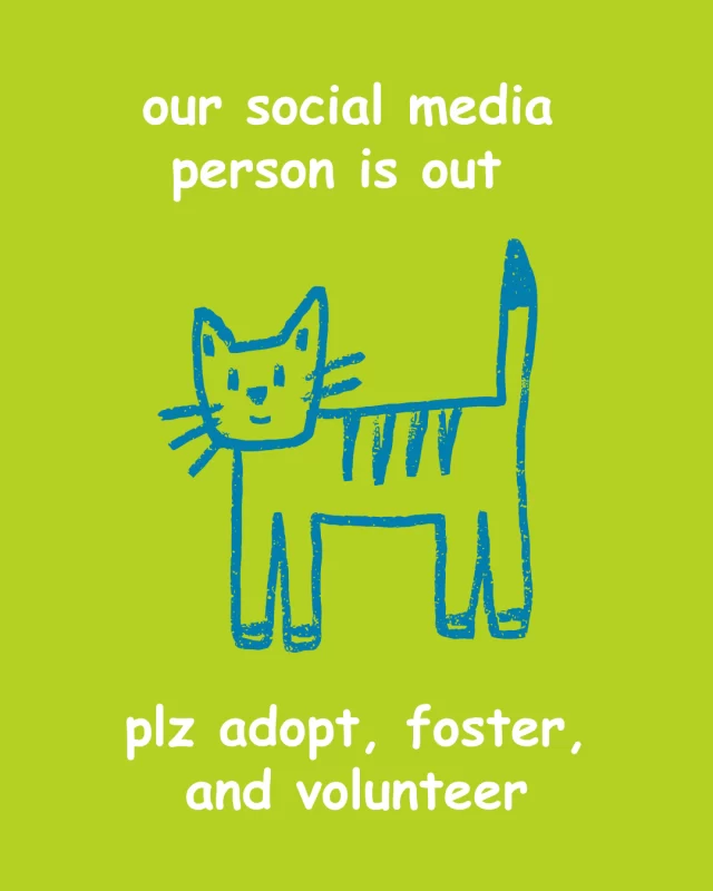 Idk what I’m doing. Like and share this post. Thx. #TreeHouseCats