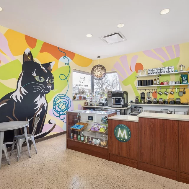 FAQ: Cat Café Appointments at Tree House 🐾☕️⁠
⁠
Q: How do I book a visit?⁠
A: Head to treehouseanimals.org/cafe (link in bio) to reserve your spot!⁠
⁠
Q: What’s the cost?⁠
A: $10 per guest (up to 4 guests per visit). Your ticket includes a drink made by our barista ☕️⁠
Each session is 30 minutes—but you’re welcome to book back-to-back visits for extra cat time.⁠
⁠
Q: How many cats will be there?⁠
A: We host 1–4 cats at a time in the lounge.⁠
All of our café cats have the feline leukemia virus, which means their immune systems are a bit more delicate. Keeping the group small helps reduce stress and keeps them feeling their best 💛⁠
⁠
Come sip, relax, and spend some quality time with some very special cats.