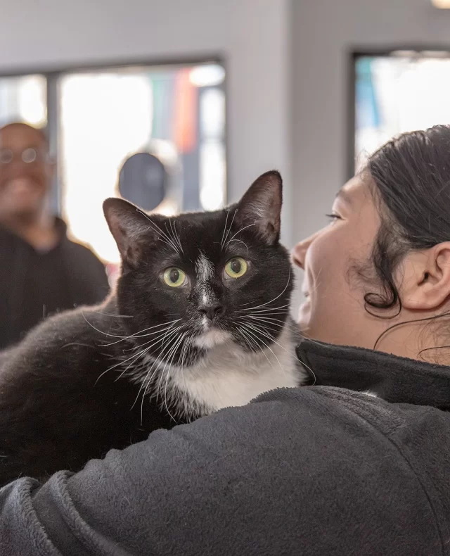 Discounted veterinary care improves the lives of pets and the people who love them. 🐾💙⁠
⁠
Through the Veterinary Wellness Center (WVC), we’re meeting urgent veterinary needs with:⁠
⁠
🩺 Affordable spay/neuter surgeries that prevent overpopulation and support lifelong health.⁠
⁠
🐈 Discounted TNVR packages that keep community cats healthy while supporting the caregivers who look after them.⁠
⁠
💉 Vaccines, microchips, and wellness care for pets across our community, from Rogers Park to pop-up clinics on the West Side.⁠
⁠
🫶 Nearly $650,000 in discounted veterinary care provided since opening in 2021.⁠
⁠
But don’t just take it from us—here’s what pet families are saying:⁠
⁠
💗 “They took care of neutering my kitten and answered all of my questions before and after surgery. He’s happy and healthy—highly recommend!” — Sam⁠
⁠
💌 “Great staff! They helped my Monroe more than they know. She’s healing just fine and running around like normal!” — Lori⁠
⁠
💕 “My cat came home happy and comfortable thanks to the compassionate care. I’m so grateful these services were affordable.” — Lindsey⁠
⁠
Book a spay/neuter appointment or share to help spread the word about affordable vet care in Chicago.⁠
⁠
#VetCare #Cats #Dogs #Veterinarian #SpayNeuter #AccessToCare